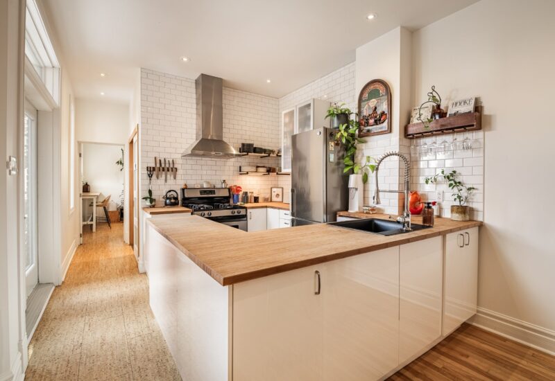 4401 Rue Parthenais  Montréal (Le Plateau-Mont-Royal) (Montréal)