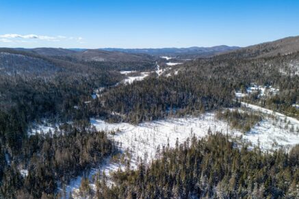 Ch. du 7e-Rang #C  Sainte-Lucie-des-Laurentides (Laurentides)