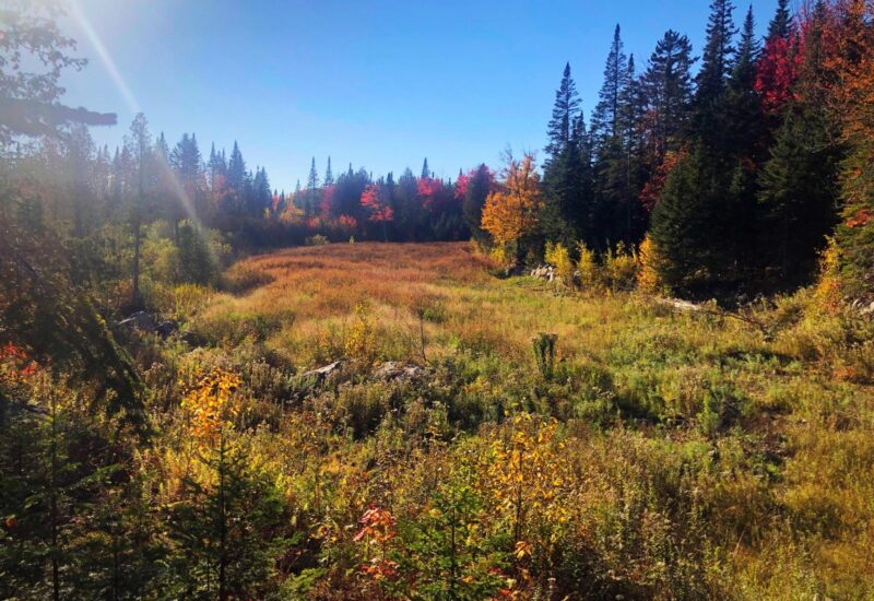 340 Ch. de Chertsey  Sainte-Marguerite-du-Lac-Masson (Laurentides)