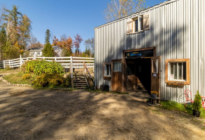 340 Ch. de Chertsey  Sainte-Marguerite-du-Lac-Masson (Laurentides)