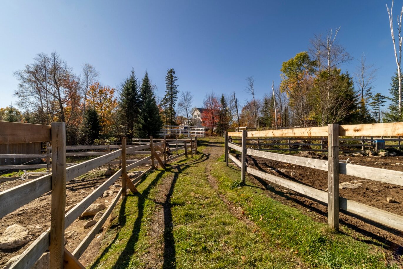 340 Ch. de Chertsey  Sainte-Marguerite-du-Lac-Masson (Laurentides)