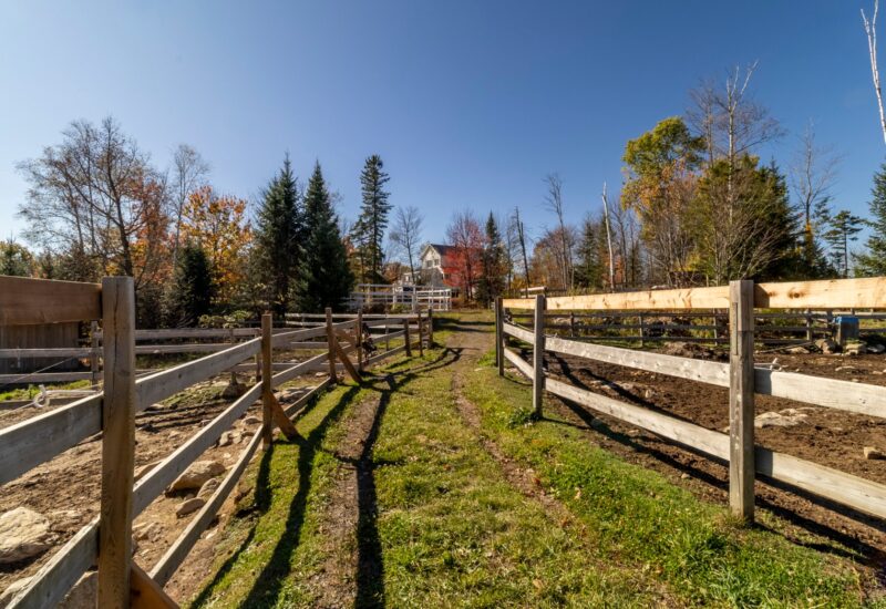 340 Ch. de Chertsey  Sainte-Marguerite-du-Lac-Masson (Laurentides)