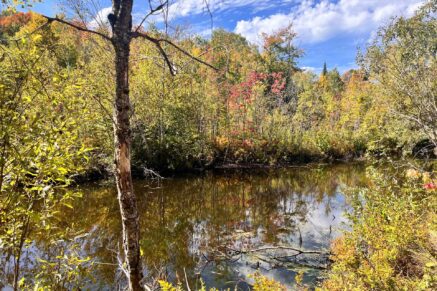 340 Ch. de Chertsey  Sainte-Marguerite-du-Lac-Masson (Laurentides)