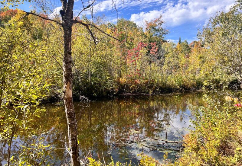 340 Ch. de Chertsey  Sainte-Marguerite-du-Lac-Masson (Laurentides)