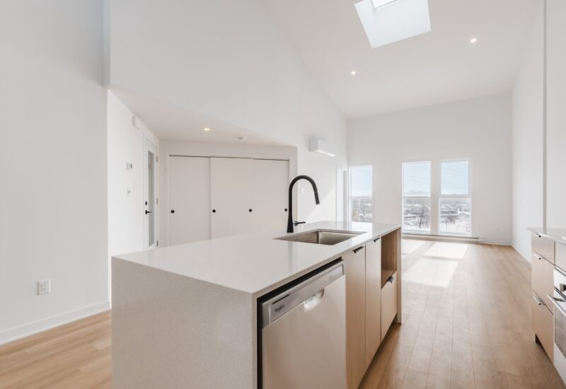 6801 Boul. De La Vérendrye #301  Montréal (Le Sud-Ouest) (Montréal)