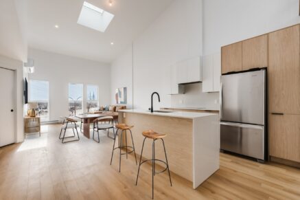 6801 Boul. De La Vérendrye #301  Montréal (Le Sud-Ouest) (Montréal)