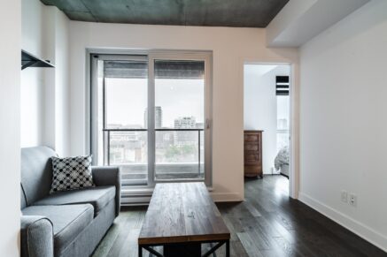 101 Rue Peel #1254  Montréal (Le Sud-Ouest) (Montréal)