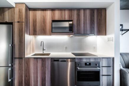 101 Rue Peel #1254  Montréal (Le Sud-Ouest) (Montréal)