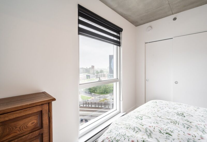 101 Rue Peel #1254  Montréal (Le Sud-Ouest) (Montréal)