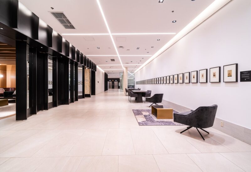 101 Rue Peel #1254  Montréal (Le Sud-Ouest) (Montréal)