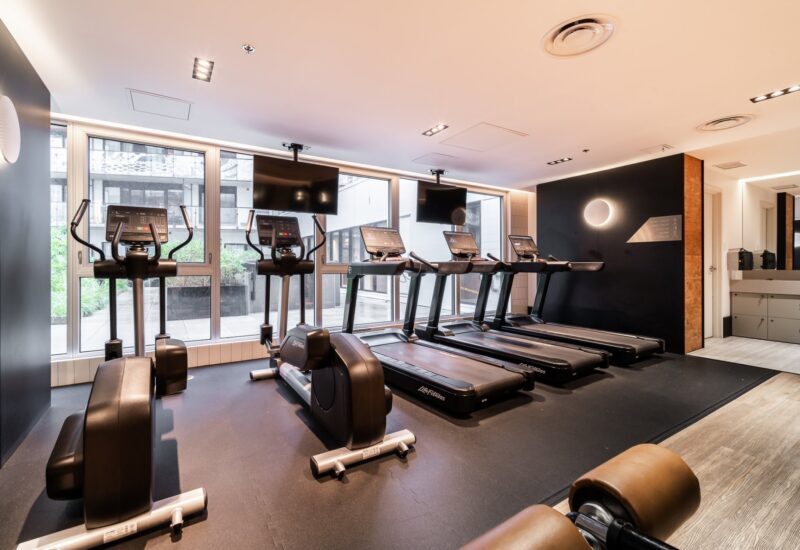 101 Rue Peel #1254  Montréal (Le Sud-Ouest) (Montréal)