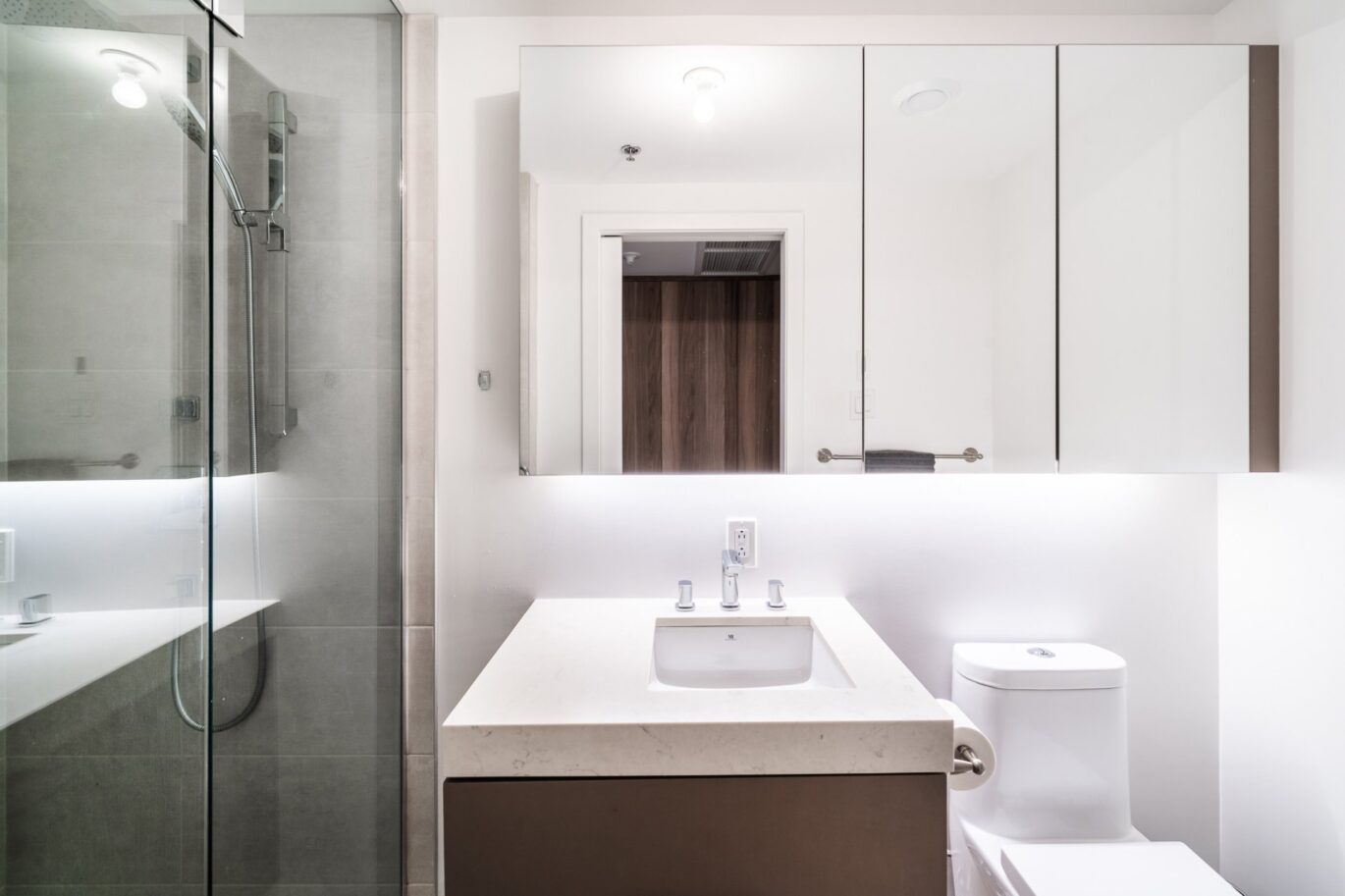 101 Rue Peel #1254  Montréal (Le Sud-Ouest) (Montréal)