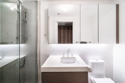 101 Rue Peel #1254  Montréal (Le Sud-Ouest) (Montréal)