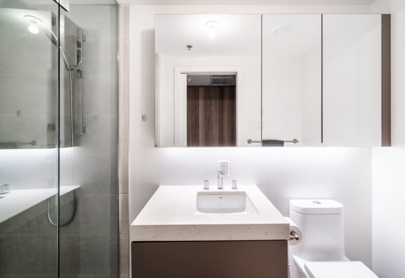 101 Rue Peel #1254  Montréal (Le Sud-Ouest) (Montréal)