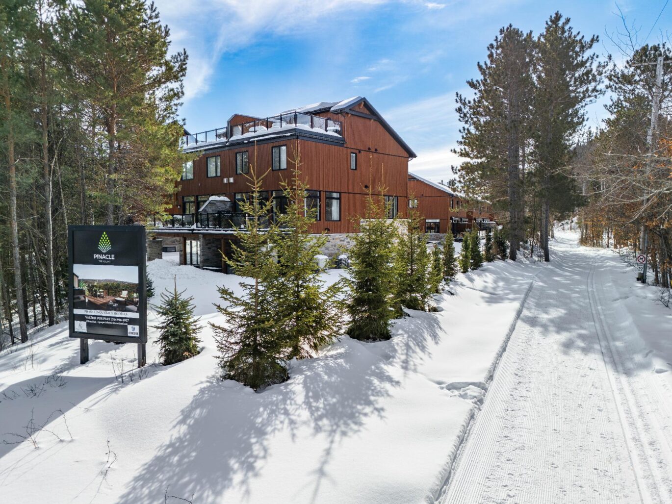 1225 Allée du Géant #33  Mont-Tremblant (Laurentides)