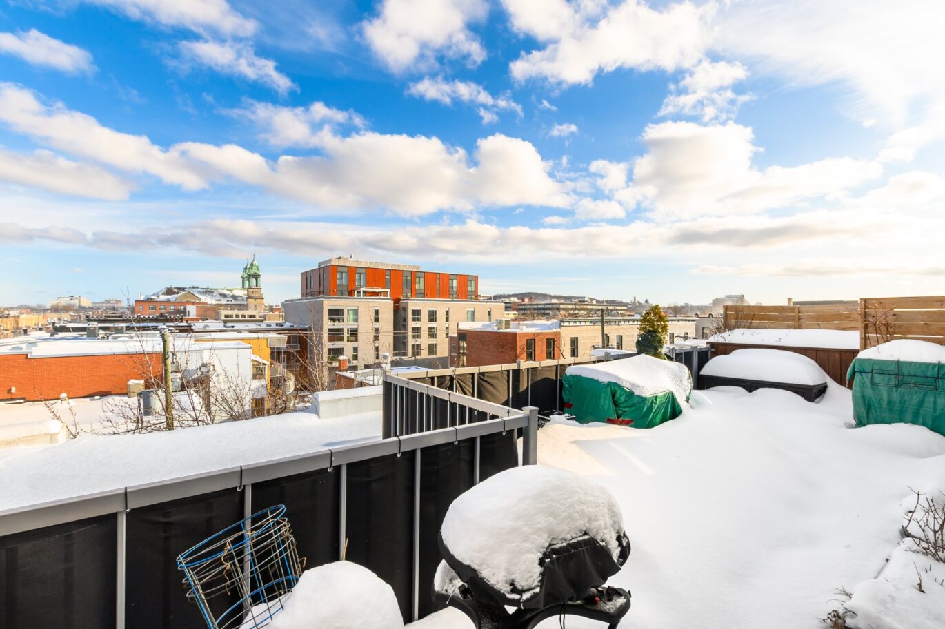 25 Rue Bélanger #302  Montréal (Rosemont/La Petite-Patrie) (Montréal)