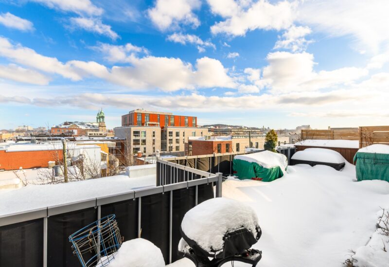 25 Rue Bélanger #302  Montréal (Rosemont/La Petite-Patrie) (Montréal)