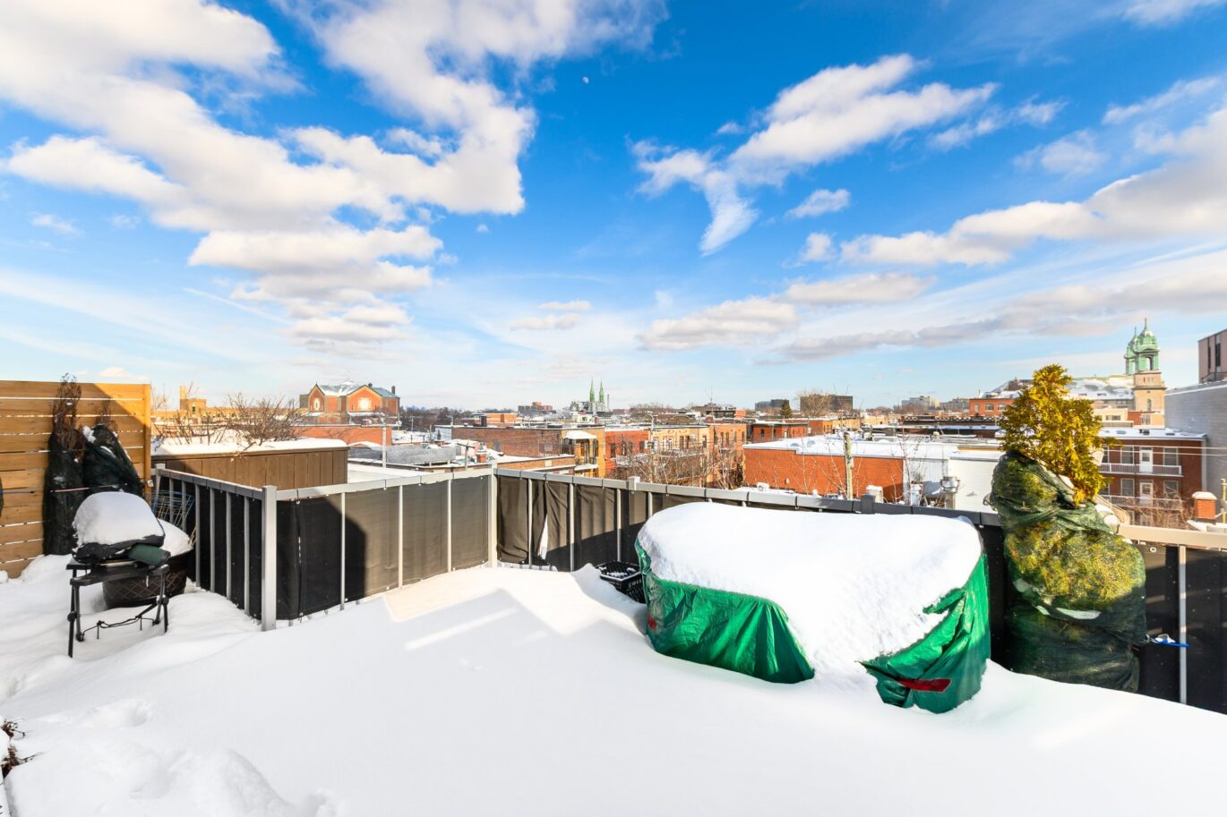 25 Rue Bélanger #302  Montréal (Rosemont/La Petite-Patrie) (Montréal)