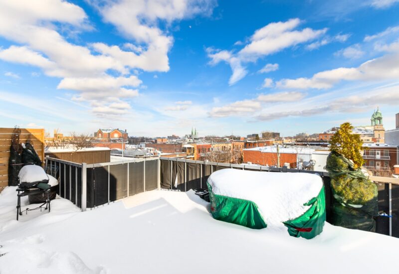 25 Rue Bélanger #302  Montréal (Rosemont/La Petite-Patrie) (Montréal)