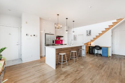 25 Rue Bélanger #302  Montréal (Rosemont/La Petite-Patrie) (Montréal)