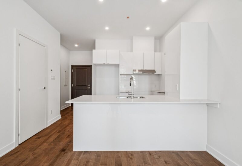 285 Av. Laurier E. #103  Montréal (Le Plateau-Mont-Royal) (Montréal)