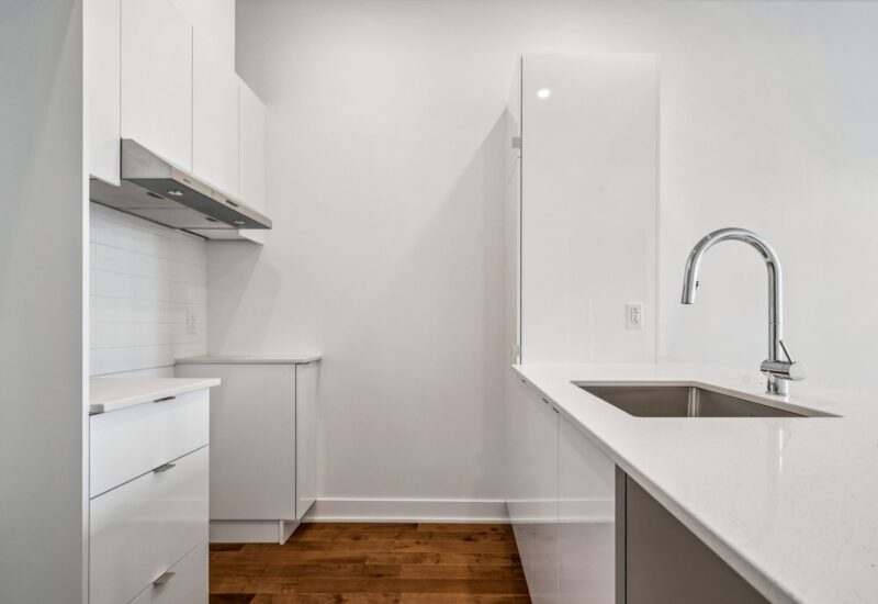 285 Av. Laurier E. #103  Montréal (Le Plateau-Mont-Royal) (Montréal)