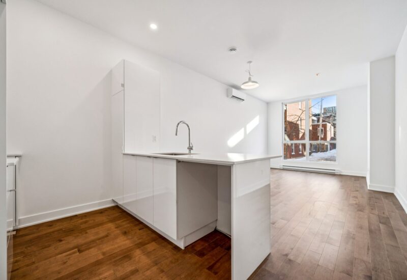 285 Av. Laurier E. #103  Montréal (Le Plateau-Mont-Royal) (Montréal)