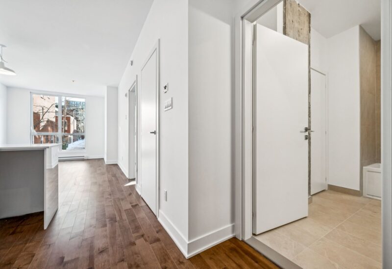 285 Av. Laurier E. #103  Montréal (Le Plateau-Mont-Royal) (Montréal)