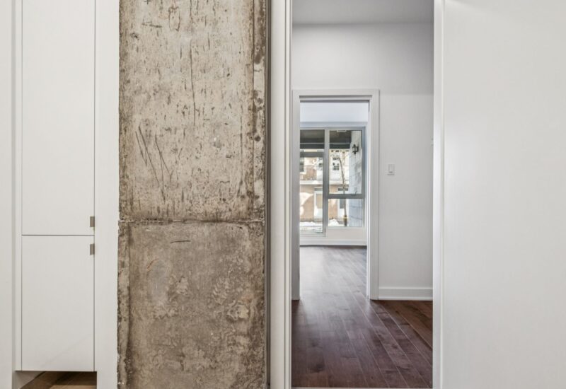 285 Av. Laurier E. #103  Montréal (Le Plateau-Mont-Royal) (Montréal)