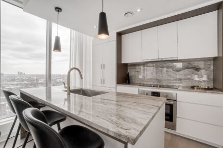 1020 Rue de la Montagne #1405  Montréal (Ville-Marie) (Montréal)