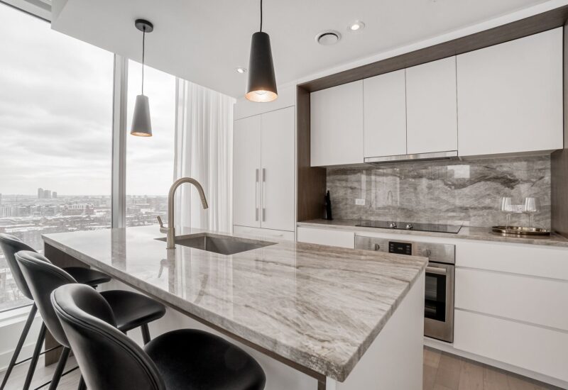 1020 Rue de la Montagne #1405  Montréal (Ville-Marie) (Montréal)