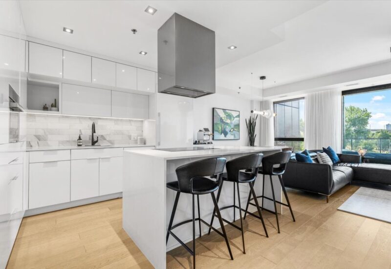 100 Rue du Séminaire #305  Montréal (Le Sud-Ouest) (Montréal)