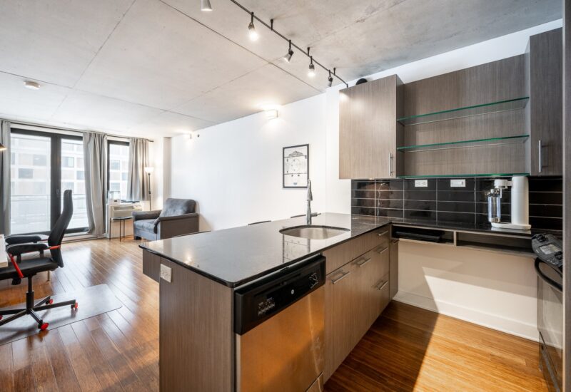 950 Rue Notre-Dame O. #305  Montréal (Le Sud-Ouest) (Montréal)