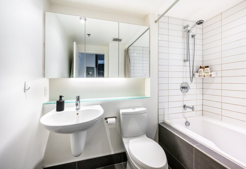 950 Rue Notre-Dame O. #305  Montréal (Le Sud-Ouest) (Montréal)