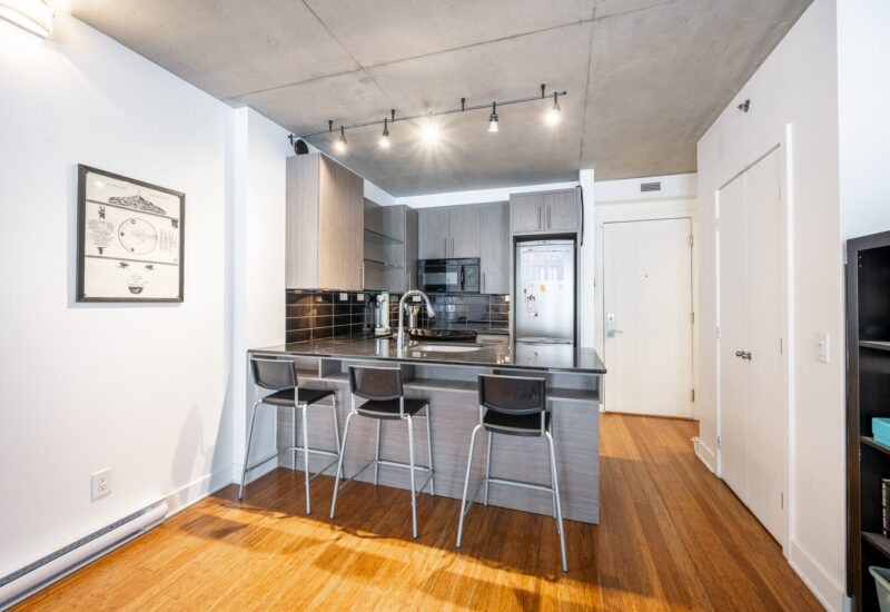 950 Rue Notre-Dame O. #305  Montréal (Le Sud-Ouest) (Montréal)