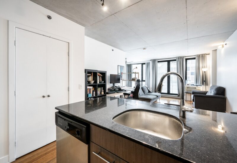 950 Rue Notre-Dame O. #305  Montréal (Le Sud-Ouest) (Montréal)