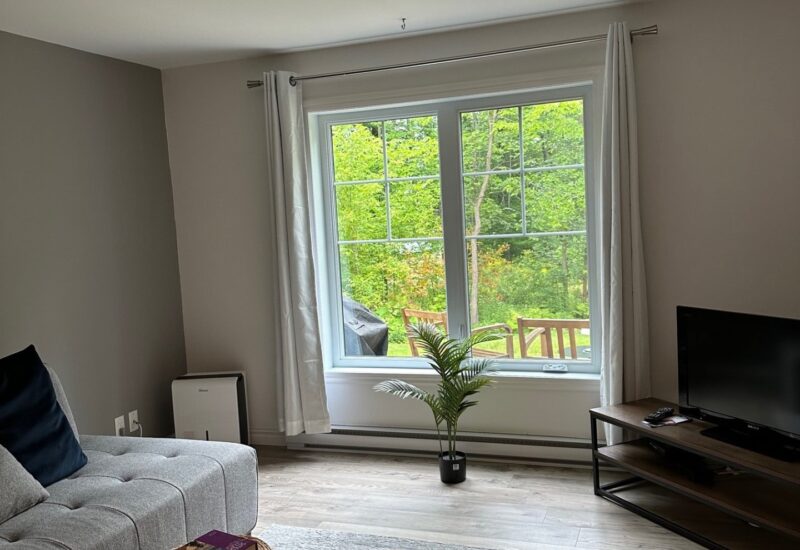 48 Rue Montagne  Lac-Brome (Estrie)