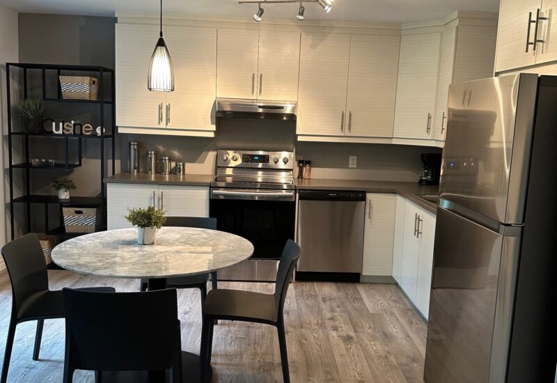 48 Rue Montagne  Lac-Brome (Estrie)