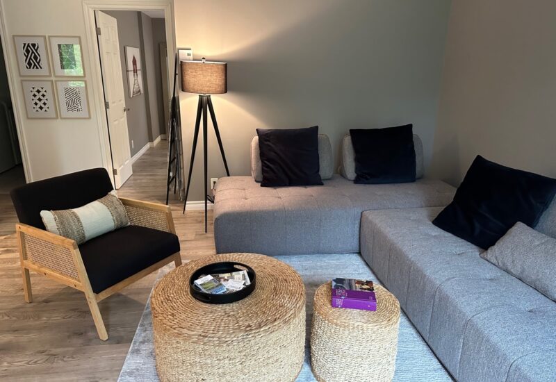 48 Rue Montagne  Lac-Brome (Estrie)