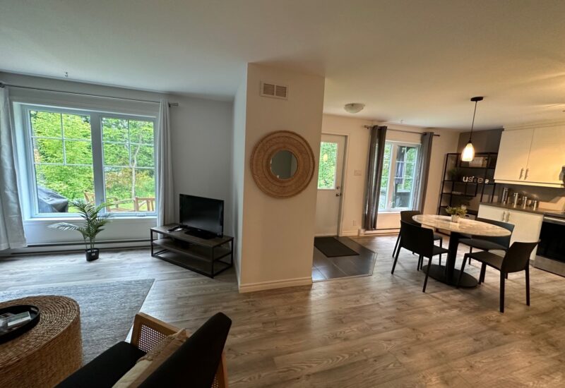 48 Rue Montagne  Lac-Brome (Estrie)