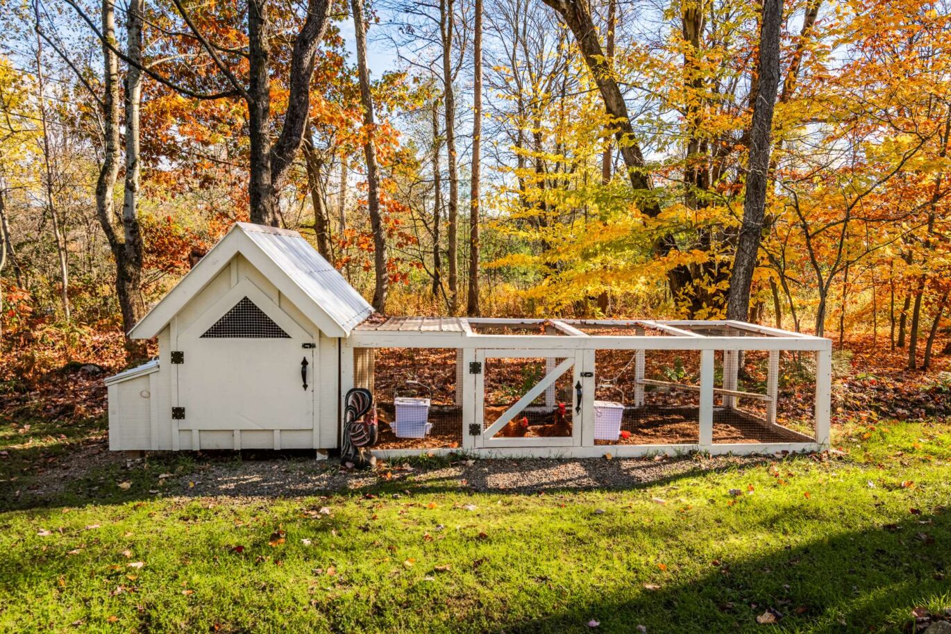 20 Rue Julien  Lac-Brome (Estrie)