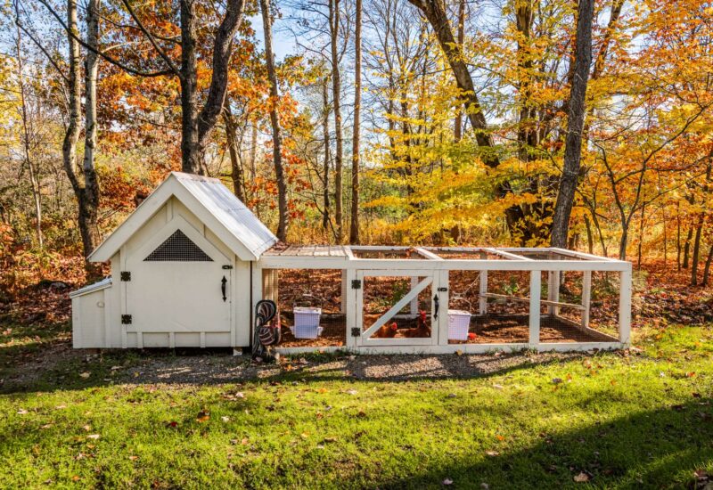 20 Rue Julien  Lac-Brome (Estrie)