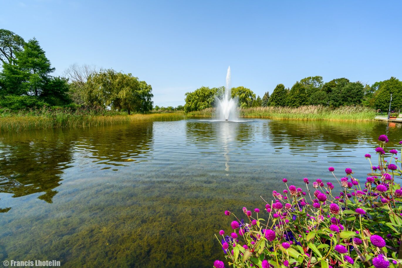 88 Rue Gary-Carter #320  Montréal (Villeray/Saint-Michel/Parc-Extension) (Montréal)