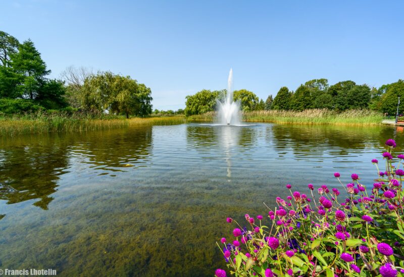 88 Rue Gary-Carter #320  Montréal (Villeray/Saint-Michel/Parc-Extension) (Montréal)