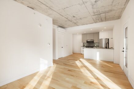 795 Av. Querbes #207  Montréal (Outremont) (Montréal)