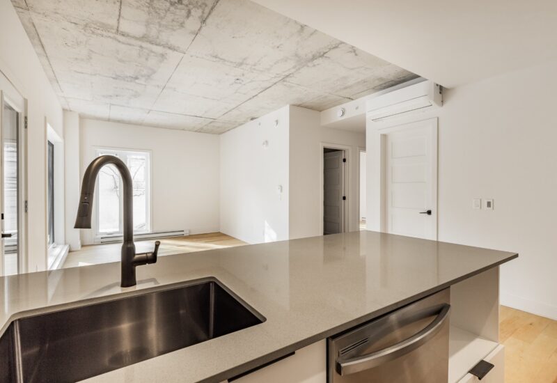 795 Av. Querbes #207  Montréal (Outremont) (Montréal)