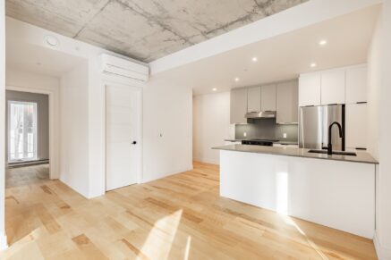 795 Av. Querbes #207  Montréal (Outremont) (Montréal)