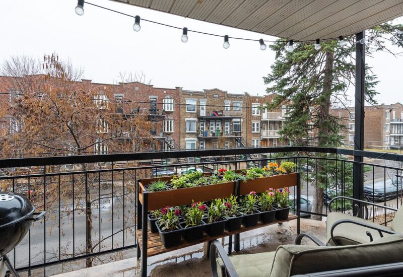 5290 Rue Bannantyne #5  Montréal (Verdun/Île-des-Sœurs) (Montréal)