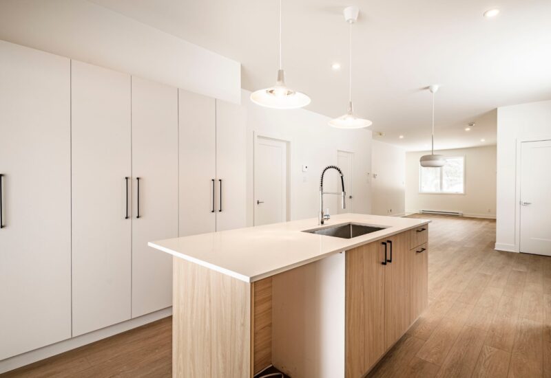 917 – 919 Ch. de la Rivière  Val-David (Laurentides)