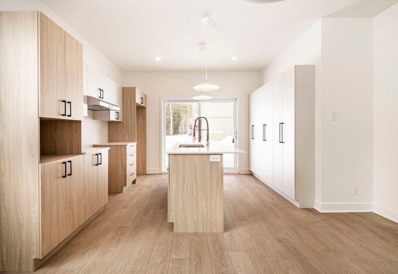 917 – 919 Ch. de la Rivière  Val-David (Laurentides)